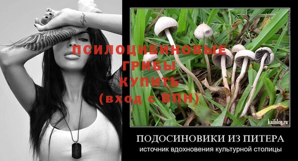марки nbome Алзамай