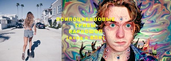 дживик Алексеевка